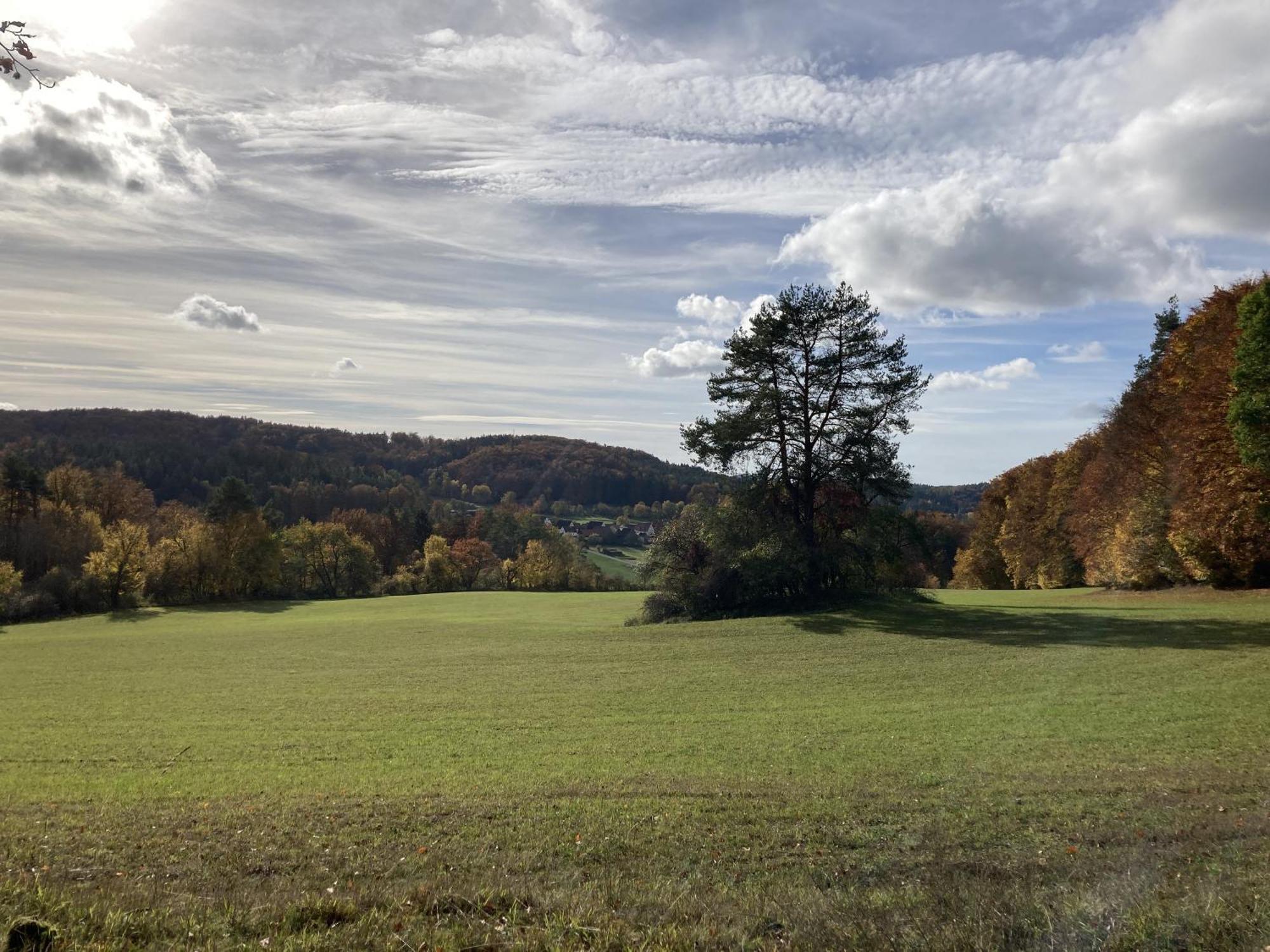 Ferienwohnung Brunnerhof Urlaub Auf Dem Land Hartenstein  Exterior foto