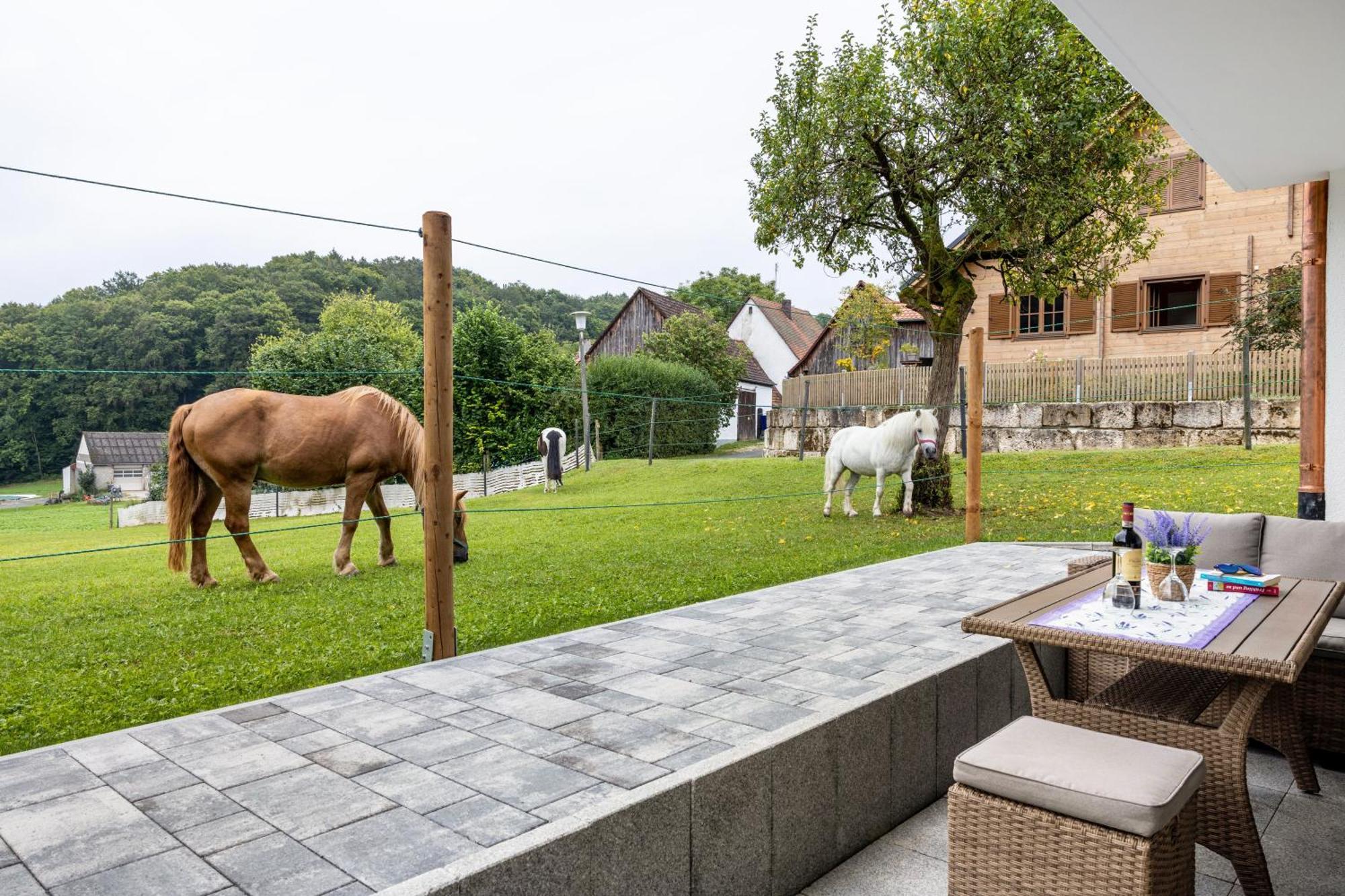 Ferienwohnung Brunnerhof Urlaub Auf Dem Land Hartenstein  Exterior foto